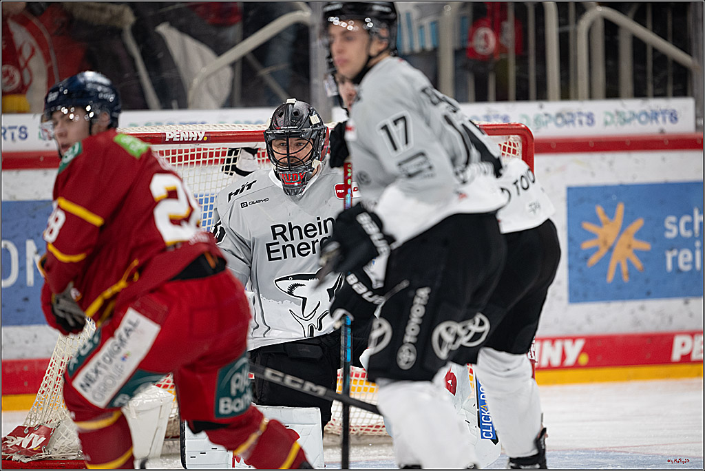 PENNY DEL 1; Düsseldorfer EG - Kölner Haie; Düsseldorf, 24.01.2025